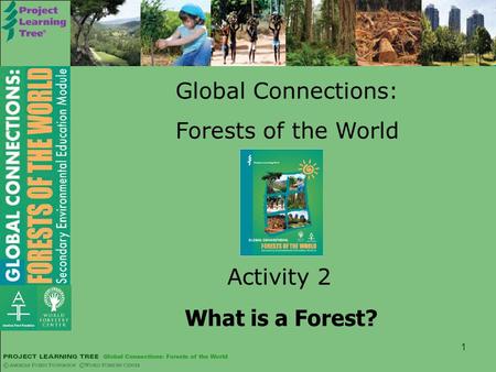 1 Global Connections: Forests of the World Activity 2 What is a Forest?