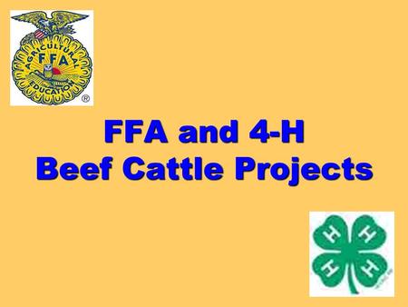 FFA and 4-H Beef Cattle Projects. What am I looking for? Where do I start? What factors should be taken into consideration?
