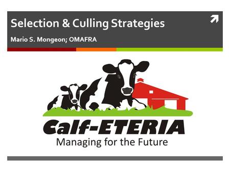  Selection & Culling Strategies Mario S. Mongeon; OMAFRA.