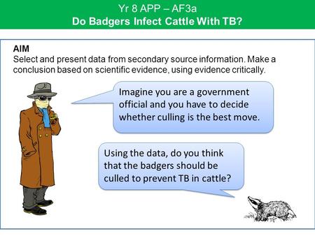 Yr 8 APP – AF3a Do Badgers Infect Cattle With TB? Imagine you are a government official and you have to decide whether culling is the best move. AIM Select.