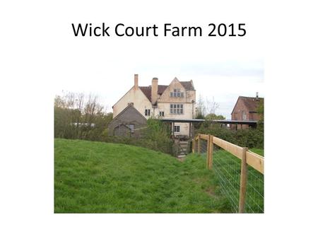 Wick Court Farm 2015. Year 4 and 5 had a ‘farmtastic’ time at Wick Court! The week was jam packed with a variety of farm jobs and all children quickly.