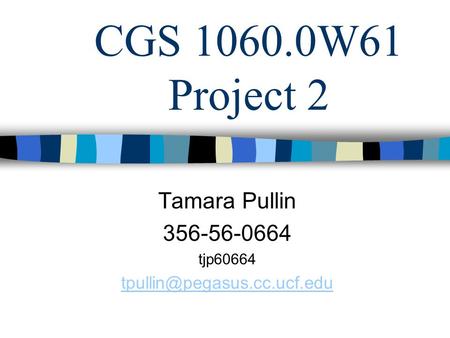 CGS 1060.0W61 Project 2 Tamara Pullin 356-56-0664 tjp60664