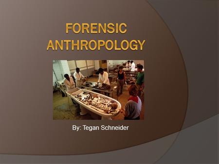 By: Tegan Schneider.  Forensic anthropologists identify human remains to help in the detection of crime & support their evidence in court. In the future,