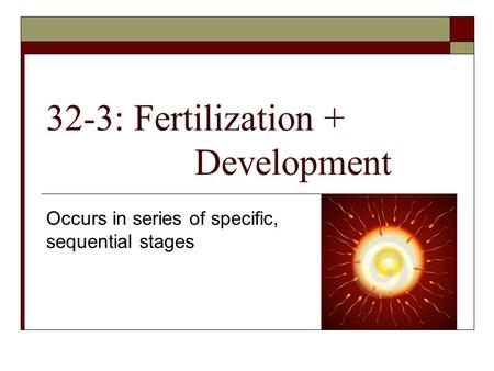 32-3: Fertilization + Development