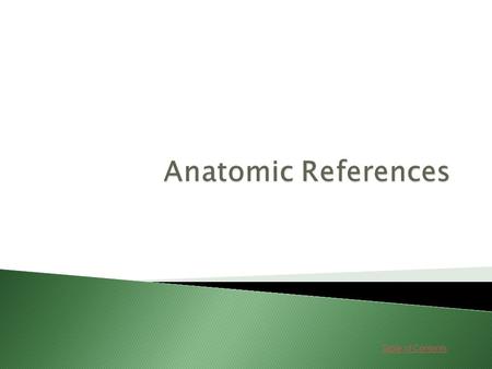 Anatomic References.