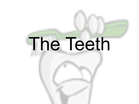 The Teeth Contents Baby teeth Parts of a tooth Types of teeth What causes cavities? How does decay happen? 5 Steps to a Healthy Smile. Experiments Quiz.