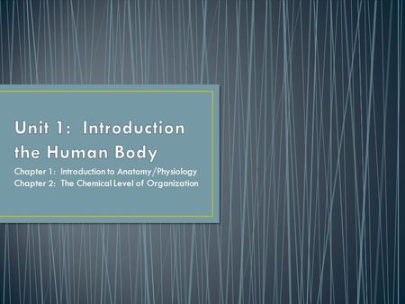 Unit 1: Introduction the Human Body