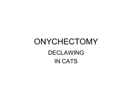 ONYCHECTOMY DECLAWING IN CATS.