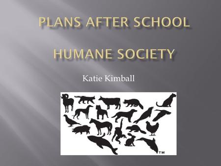Katie Kimball.  Welcome every animal in need  Only declines animals if no space  2009  Began tracking how many animals took, adopted, and euthanized.