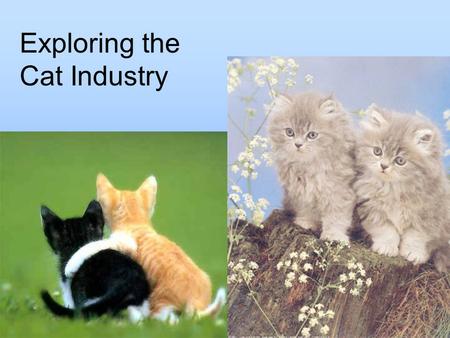 Exploring the Cat Industry. Student Learning Objectives Describe the biology and physiology of a cat. Explain classes and breeds of cats. Identify management,