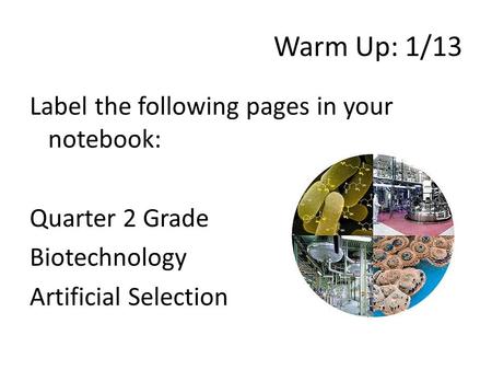 Warm Up: 1/13 Label the following pages in your notebook: Quarter 2 Grade Biotechnology Artificial Selection.