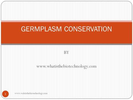 BY www.whatisthebiotechnology.com GERMPLASM CONSERVATION 1 www.wahtisthebiotechnology.com.