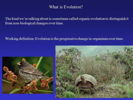What is Evolution? The kind we’re talking about is sometimes called organic evolution to distinguish it from non-biological changes over time. Working.