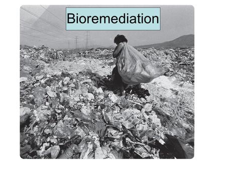 Bioremediation. Hydraulic Fracturing Why do we even need it? We can’t seem to stop polluting –Inorganics Uranium, technetium, sulfur, sulfuric acid –Explosives.
