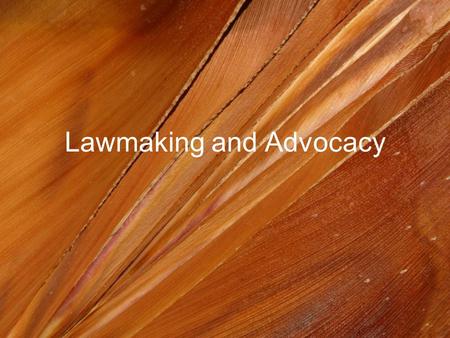 Lawmaking and Advocacy. Laws and Courts Agencies – government groups that create rules and regulations to make laws more specific (TSA, DOT, OSHA) Courts.