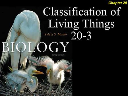 Classification of Living Things 20-3 Chapter 20. Classification of Living Things 2 Cladistic Systematics Now that we know how to read phylogenetic trees….how.