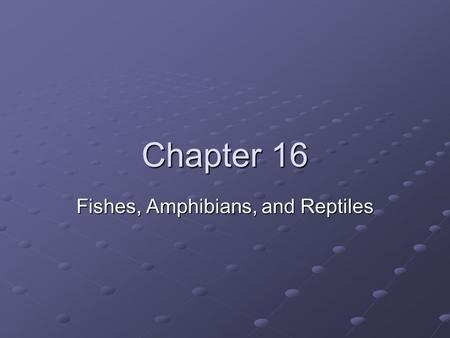 Fishes, Amphibians, and Reptiles