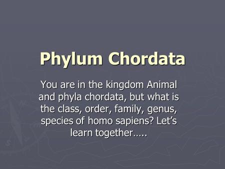 Phylum Chordata You are in the kingdom Animal and phyla chordata, but what is the class, order, family, genus, species of homo sapiens? Let’s learn together…..