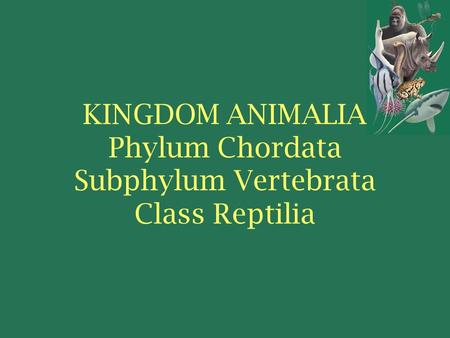 KINGDOM ANIMALIA Phylum Chordata Subphylum Vertebrata Class Reptilia.