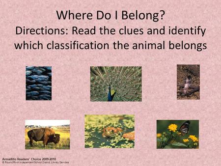 Where Do I Belong? Directions: Read the clues and identify which classification the animal belongs Armadillo Readers’ Choice 2009-2010 © Round Rock Independent.