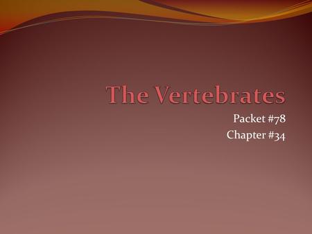 Packet #78 Chapter #34. Introduction All vertebrates are Found within Phylum Chordata; Subphylum Vertebrata Deuterostomes Coelomates Bilateral symmetrical.