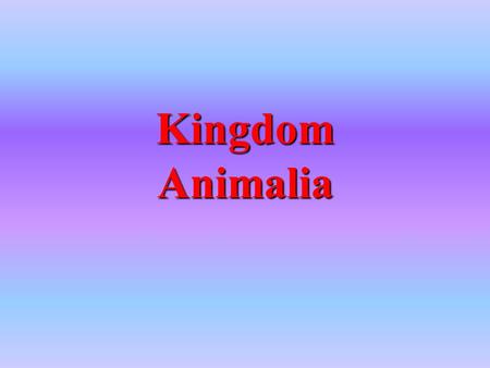 Kingdom Animalia. They are complex, multicellular organisms Their cells have a nucleus and organelles Their cells do not have a cell wall Most of them.