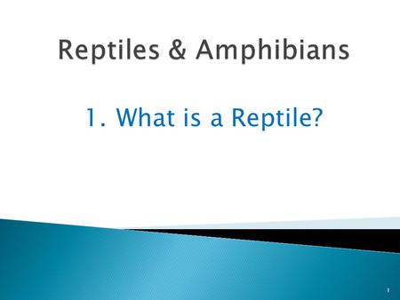 1.What is a Reptile? 1. What do turtles, alligators, crocodiles, snakes, and lizards have in common? 2 They are all reptiles.