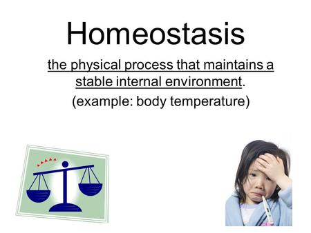 Homeostasis the physical process that maintains a stable internal environment. (example: body temperature)