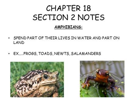 CHAPTER 18 SECTION 2 NOTES AMPHIBIANS: SPEND PART OF THEIR LIVES IN WATER AND PART ON LAND EX…..FROGS, TOADS, NEWTS, SALAMANDERS.