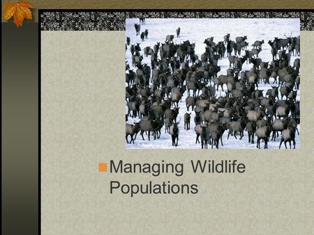 Managing Wildlife Populations. Next Generation Science/Common Core Standards Addressed! Use mathematical and/or computational representations to support.
