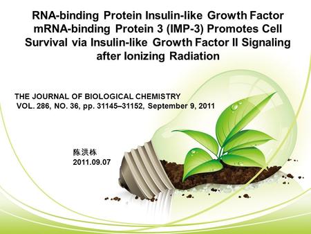 RNA-binding Protein Insulin-like Growth Factor mRNA-binding Protein 3 (IMP-3) Promotes Cell Survival via Insulin-like Growth Factor II Signaling after.