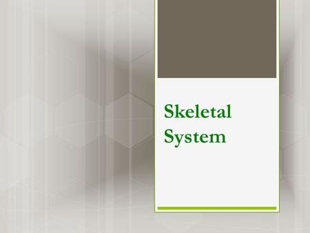 Skeletal System. What is the skeletal system?  Skeletal system consists of bones, teeth, joints, & structures that connect bones to other bones or muscles.