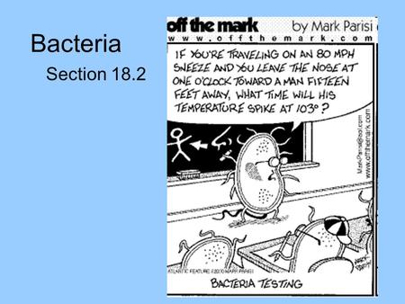 Bacteria Section 18.2. Diversity of Prokaryotes Belong to the kingdoms Archaebacteria and Eubacteria Because they are so different, many scientists propose.