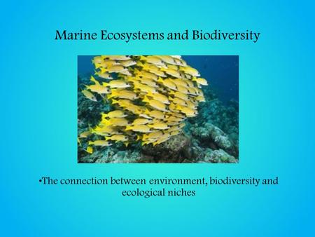 Marine Ecosystems and Biodiversity The connection between environment, biodiversity and ecological niches.