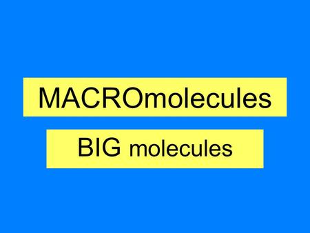 MACROmolecules BIG molecules. What are the four groups of carbon compounds found in living things? Carbohydrates Lipids Proteins Nucleic Acids.