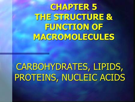CHAPTER 5 THE STRUCTURE & FUNCTION OF MACROMOLECULES CARBOHYDRATES, LIPIDS, PROTEINS, NUCLEIC ACIDS.