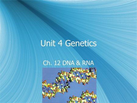 Unit 4 Genetics Ch. 12 DNA & RNA.