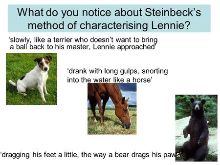 What do you notice about Steinbeck’s method of characterising Lennie? ‘slowly, like a terrier who doesn’t want to bring a ball back to his master, Lennie.