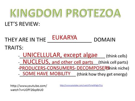 KINGDOM PROTEZOA EUKARYA UNICELLULAR, except algae