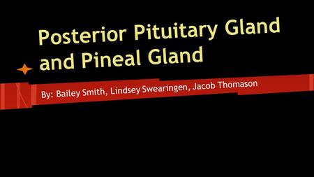 Posterior Pituitary Gland and Pineal Gland By: Bailey Smith, Lindsey Swearingen, Jacob Thomason.