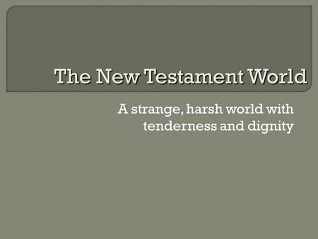 A strange, harsh world with tenderness and dignity The New Testament World.
