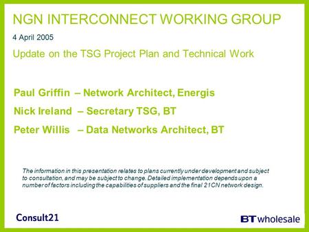 NGN INTERCONNECT WORKING GROUP 4 April 2005 Update on the TSG Project Plan and Technical Work Paul Griffin – Network Architect, Energis Nick Ireland –