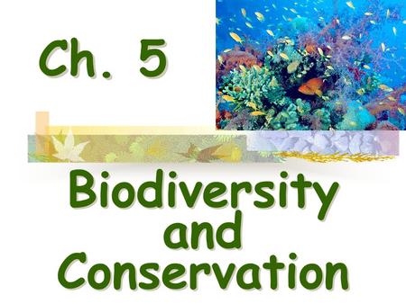 Ch. 5 Biodiversity and Conservation Biodiversity and Conservation.