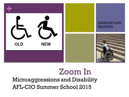 + Zoom In Microaggressions and Disability AFL-CIO Summer School 2015 DIAMOND LAW TRAINING.