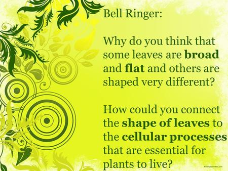 Bell Ringer: Why do you think that some leaves are broad and flat and others are shaped very different? How could you connect the shape of leaves to the.