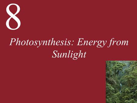 8 Photosynthesis: Energy from Sunlight. 8 Photosynthesis: Energy from Sunlight 8.1 What Is Photosynthesis? 8.2 How Does Photosynthesis Convert Light Energy.