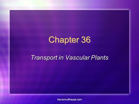 Travismulthaupt.com Chapter 36 Transport in Vascular Plants.