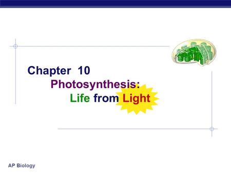 Chapter 10 Photosynthesis: Life from Light