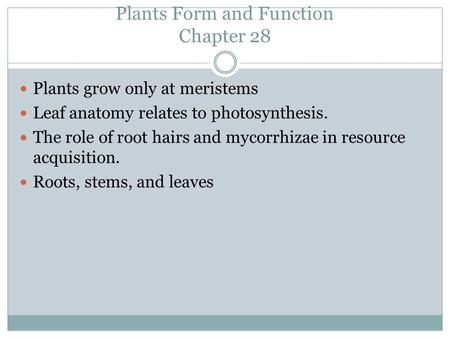 Plants Form and Function Chapter 28 Plants grow only at meristems Leaf anatomy relates to photosynthesis. The role of root hairs and mycorrhizae in resource.