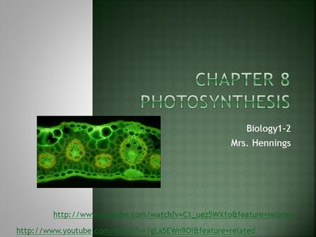 Biology1-2 Mrs. Hennings